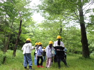 ４年やまのこを開きます。
